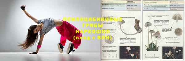 индика Пересвет