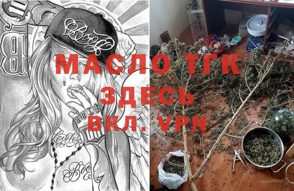 индика Пересвет