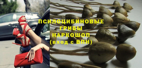 индика Пересвет